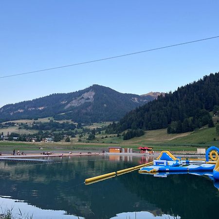 Studio Face Aux Pistes Praz-sur-Arly Eksteriør billede